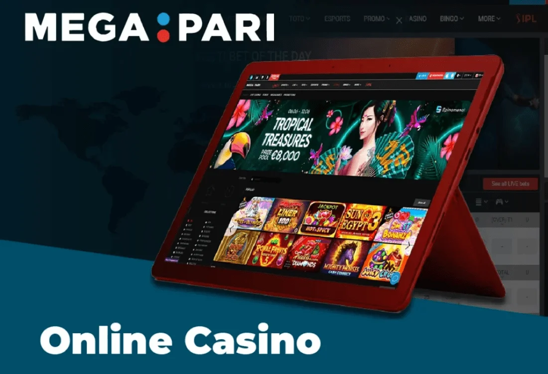 Win 2023 cassino
